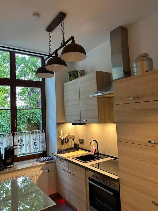 Ruhige Wohnung Im Fabrikstil In Chemnitz Exterior photo